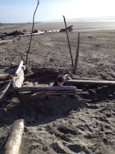 Building a beach fort
